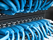 Computer network cables